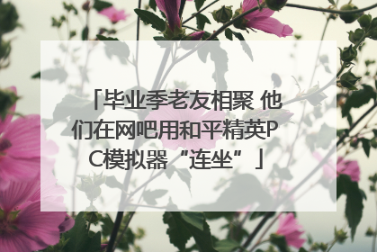 毕业季老友相聚 他们在网吧用和平精英PC模拟器“连坐”