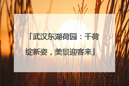 武汉东湖荷园：千荷绽新姿，美景迎客来