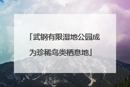 武钢有限湿地公园成为珍稀鸟类栖息地