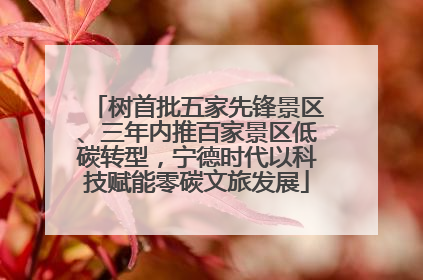 树首批五家先锋景区、三年内推百家景区低碳转型，宁德时代以科技赋能零碳文旅发展