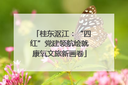 桂东沤江：“四红”党建领航绘就康氧文旅新画卷