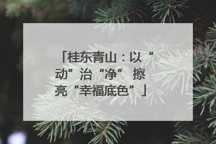 桂东青山：以“动”治“净” 擦亮“幸福底色”