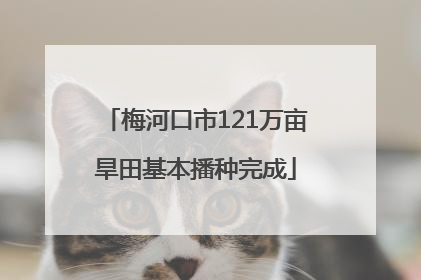 梅河口市121万亩旱田基本播种完成
