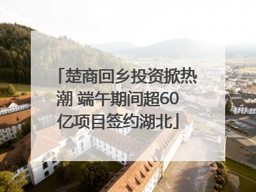 楚商回乡投资掀热潮 端午期间超60亿项目签约湖北