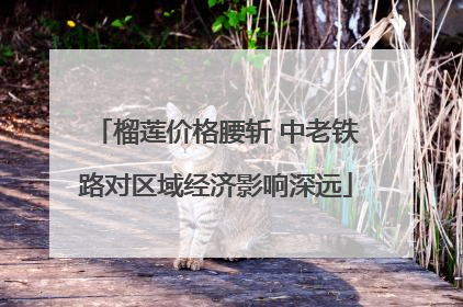 榴莲价格腰斩 中老铁路对区域经济影响深远