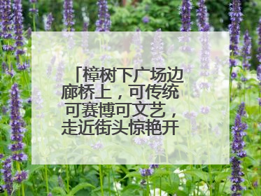 樟树下广场边廊桥上，可传统可赛博可文艺，走近街头惊艳开嗓的音乐人