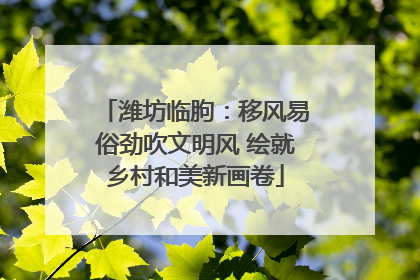 潍坊临朐：移风易俗劲吹文明风 绘就乡村和美新画卷