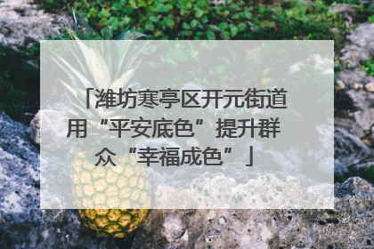 潍坊寒亭区开元街道用“平安底色”提升群众“幸福成色”