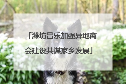 潍坊昌乐加强异地商会建设共谋家乡发展