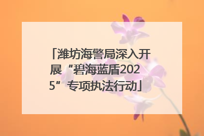 潍坊海警局深入开展“碧海蓝盾2025”专项执法行动