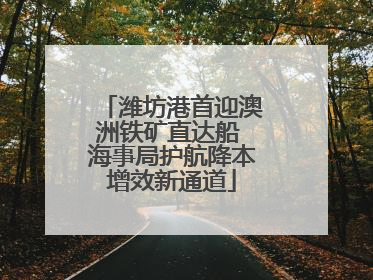 潍坊港首迎澳洲铁矿直达船 海事局护航降本增效新通道