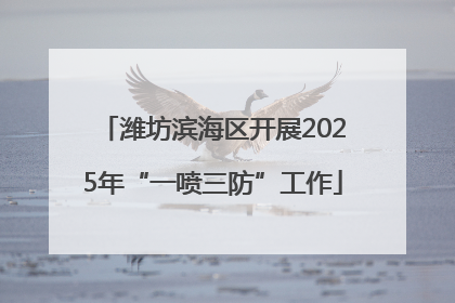 潍坊滨海区开展2025年“一喷三防”工作