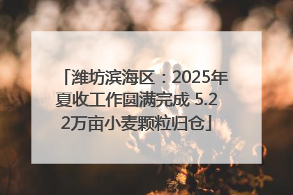 潍坊滨海区：2025年夏收工作圆满完成 5.22万亩小麦颗粒归仓