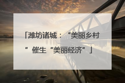 潍坊诸城：“美丽乡村”催生“美丽经济”