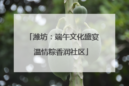 潍坊：端午文化盛宴 温情粽香润社区