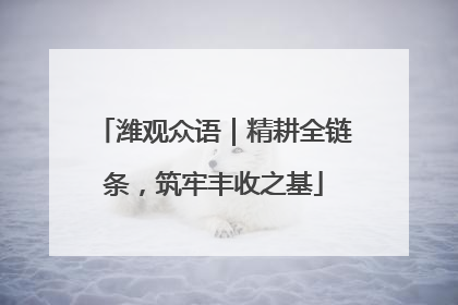 潍观众语｜精耕全链条，筑牢丰收之基