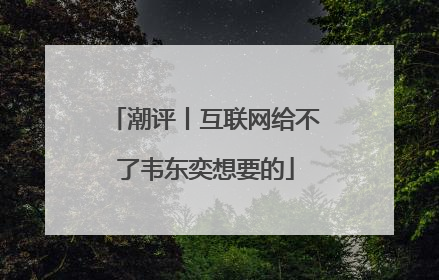 潮评丨互联网给不了韦东奕想要的
