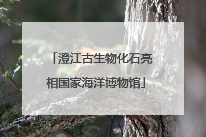 澄江古生物化石亮相国家海洋博物馆