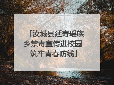 汝城县延寿瑶族乡禁毒宣传进校园 筑牢青春防线