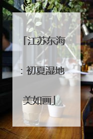 江苏东海：初夏湿地美如画