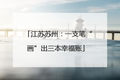 江苏苏州：一支笔“画”出三本幸福账