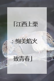 江西上栗：绚美焰火致青春