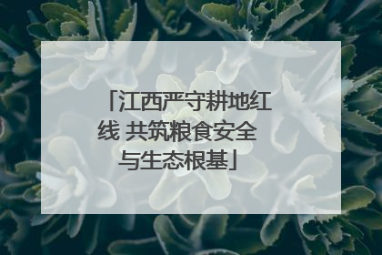 江西严守耕地红线 共筑粮食安全与生态根基