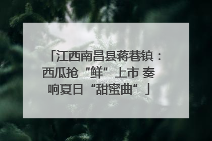 江西南昌县蒋巷镇：西瓜抢“鲜”上市 奏响夏日“甜蜜曲”