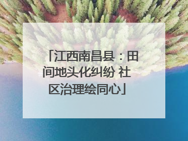 江西南昌县：田间地头化纠纷 社区治理绘同心