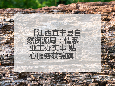 江西宜丰县自然资源局：情系业主办实事 贴心服务获锦旗