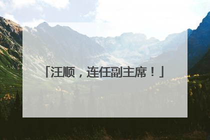 汪顺，连任副主席！