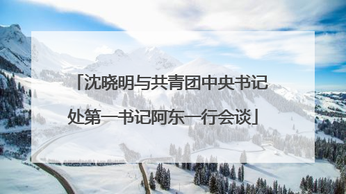 沈晓明与共青团中央书记处第一书记阿东一行会谈