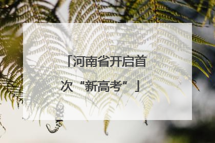 河南省开启首次“新高考”