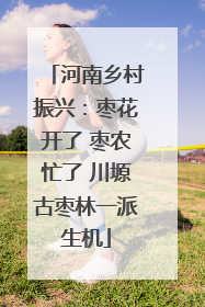 河南乡村振兴：枣花开了 枣农忙了 川塬古枣林一派生机