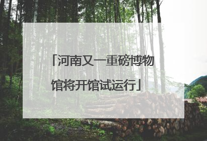 河南又一重磅博物馆将开馆试运行