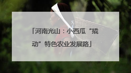 河南光山：小西瓜“撬动”特色农业发展路