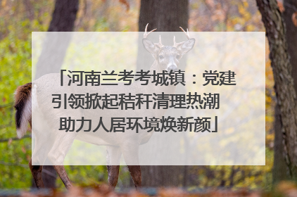河南兰考考城镇：党建引领掀起秸秆清理热潮 助力人居环境焕新颜