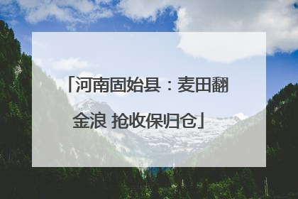 河南固始县：麦田翻金浪 抢收保归仓