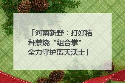 河南新野：打好秸秆禁烧“组合拳” 全力守护蓝天沃土