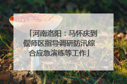 河南洛阳：马怀庆到偃师区指导调研防汛综合应急演练等工作