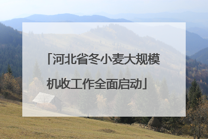 河北省冬小麦大规模机收工作全面启动