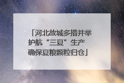 河北故城多措并举护航“三夏”生产 确保夏粮颗粒归仓
