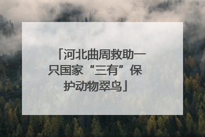 河北曲周救助一只国家“三有”保护动物翠鸟