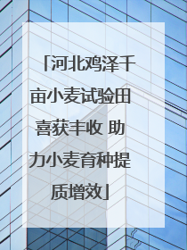 河北鸡泽千亩小麦试验田喜获丰收 助力小麦育种提质增效