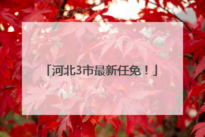 河北3市最新任免！