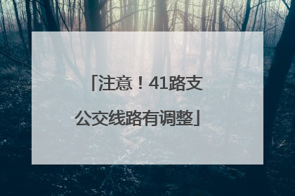 注意！41路支公交线路有调整