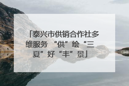 泰兴市供销合作社多维服务 “供”绘“三夏”好“丰”景