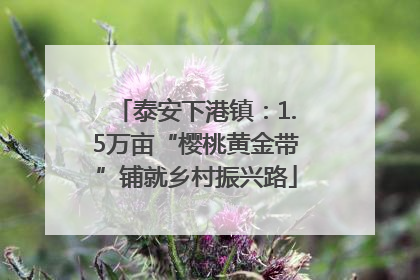 泰安下港镇：1.5万亩“樱桃黄金带”铺就乡村振兴路