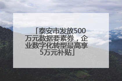 泰安市发放500万元数据要素券，企业数字化转型最高享5万元补贴