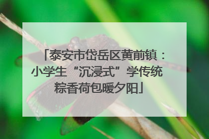 泰安市岱岳区黄前镇：小学生“沉浸式”学传统 粽香荷包暖夕阳
